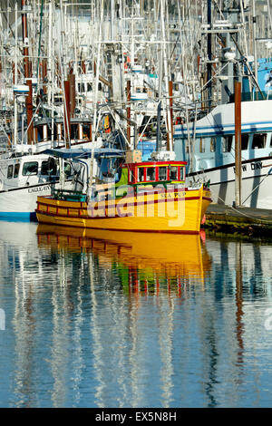 Des bateaux de pêche, port de Newport, Oregon, USA Banque D'Images