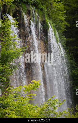 Le parc national des Lacs de Plitvice, Lika-Senj & Karlovac County, Croatie. Cascades dans le parc. Banque D'Images