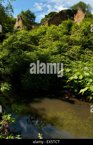 Le Jesmond Dene, Tyne and Wear, Royaume-Uni Banque D'Images