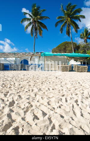 Palmiers et plage de couleurs vives des bâches font face à la plage de sable blanc de St Thomas, îles Vierges britanniques. Banque D'Images