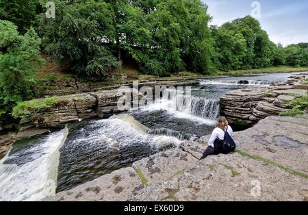 Lower Falls Aysgarth dans Wensleydale Yorkshire UK Banque D'Images