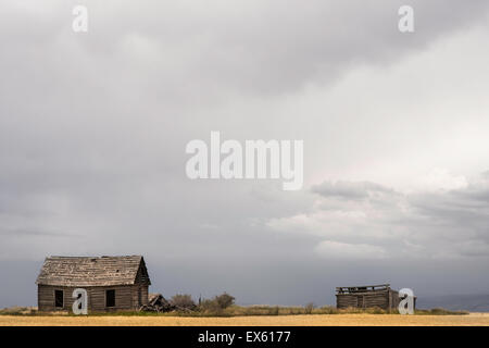 Vieille cabane vide abandonné dans la campagne du paysage agricole Banque D'Images