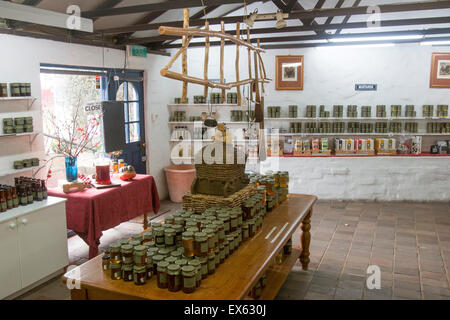 À l'intérieur d'un magasin traditionnel de confitures et condiments dans Berrima, New South Wales, Australie Banque D'Images