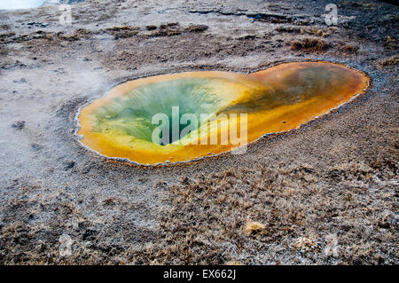 Piscine belge dans le coin supérieur Geyser Basin dans le Parc National de Yellowstone WY Banque D'Images