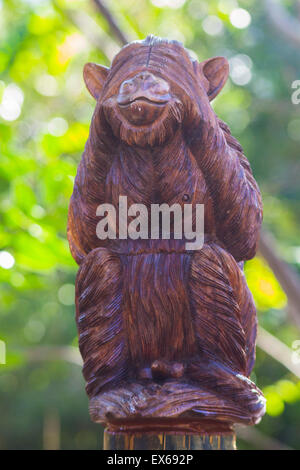 Monkey couvrant ses yeux Banque D'Images