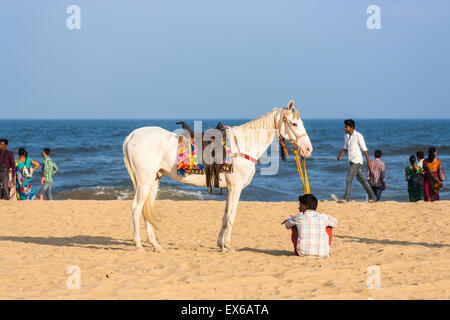 Cheval Blanc et propriétaire attend patiemment pour les clients d'équitation sur Marina Beach, Chennai, Tamil Nadu, Inde du sud sur une journée ensoleillée Banque D'Images