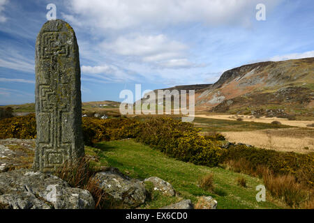 Greeneville Donegal Croix religion religieux chrétien de l'époque de saint Columba RM L'Irlande Banque D'Images