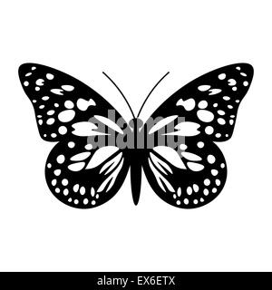 Beau papillon noir et blanc isolated on white Banque D'Images