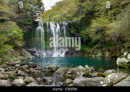 Cheonjeyeon n° 2 cascade. Cheonjeyoen falls (signifie l'étang de Dieu) se compose de 3 chutes. Une variété de végétaux, Psilo inclued Banque D'Images