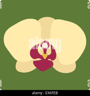 Illustration de l'orchidée fleur isolé sur fond vert Banque D'Images