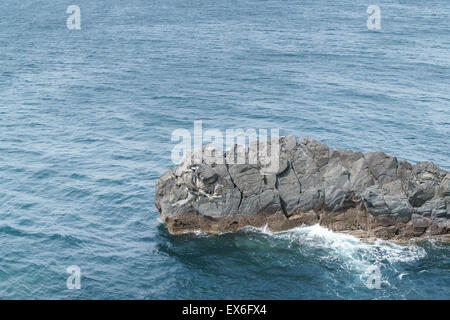 Rock train dans le sud de l'île de Jeju. Il est situé près de l'olle sentier de marche n° 7. Banque D'Images