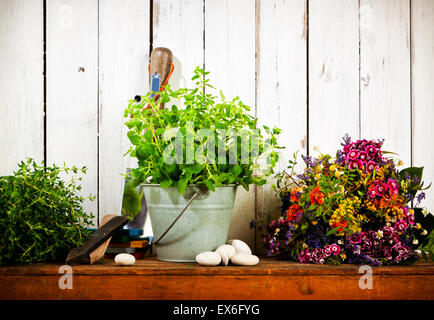 La vie toujours avec les outils de jardinage, fleurs séchées et origan bouquet plante en godet d'étain en face du mur rustique en bois blanc Banque D'Images