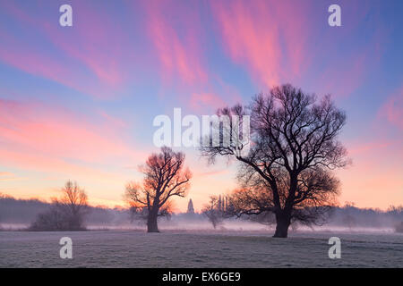 Lever du soleil frappant Grantchester meadows Cambridge UK Banque D'Images