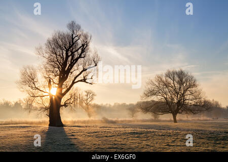 Lever du soleil d'hiver brumeux Grantchester meadows Cambridgeshire UK Banque D'Images