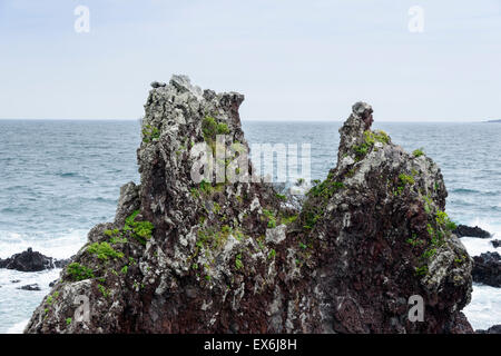 Les roches volcaniques près du cours No6 en Olle l'île de Jéju, en Corée. Banque D'Images