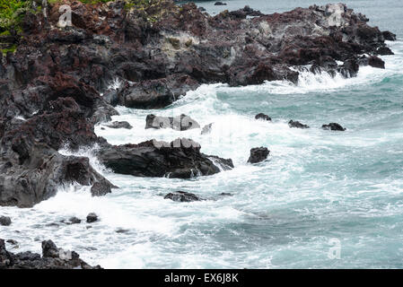 Les roches volcaniques près du cours No6 en Olle l'île de Jéju, en Corée. Banque D'Images