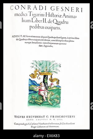 L'illustration de la page de titre d'un enfant sur une grenouille, de 'Medici Tigurini Historiae animalium" Historia animalum 1564 ; un livre d'Anatomie vétérinaire, par Conradi Gesneri 1516-1586 Banque D'Images