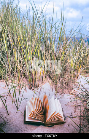 Un vieux livre est couché dans les dunes sur une plage Banque D'Images