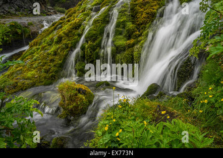Gjaarfoss, cascade de la vallée de Thjorsardalur, Islande. Banque D'Images
