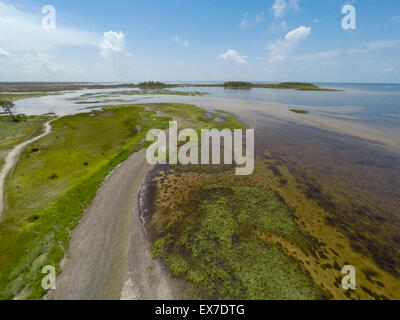 Hagen's Cove, Big Bend Wildlife Management Area Steinhatchee, Floride Banque D'Images