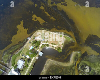 Dark Island, réserve aquatique de graminées de la mer de Big Bend, Floride Banque D'Images