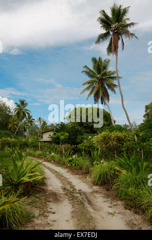 Route de terre sur l'île de Denis, de l'Océan Indien, les Seychelles Banque D'Images