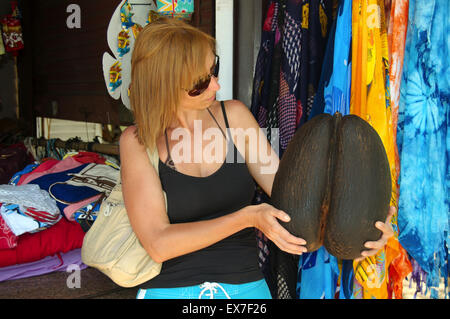 Une femme tenant un coco de mer, de la mer, noix de coco, noix de coco double amour, coco fresse, Seychelles ou l'écrou (Lodoicea maldivica) Mahe Banque D'Images