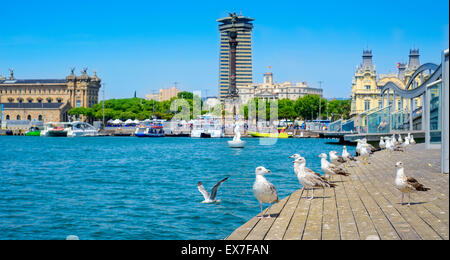 Vue panoramique sur le Port Vell et le monument de Christophe Colomb à l'extrémité inférieure de la promenade de La Rambla de Barcelone, Espagne Banque D'Images