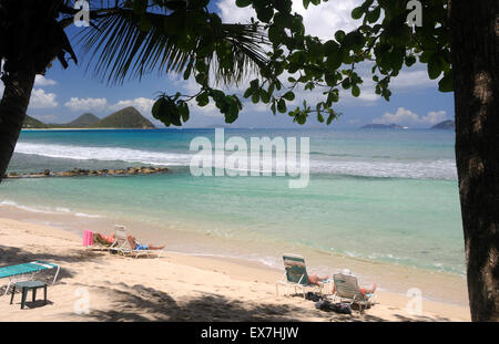 Apple Bay, Tortola, Îles Vierges Britanniques Banque D'Images