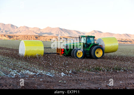 Le transport du tracteur John Deere coton récolté modules. Banque D'Images