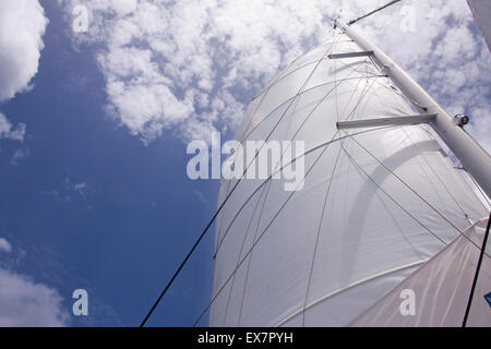 Les voiles d'un catamaran de luxe atteindre vers le ciel et nuages Banque D'Images