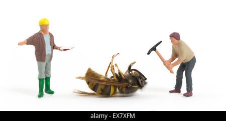 Guêpe morte avec miniatures, isolated on white Banque D'Images