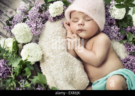 Cute boy dormir parmi les fleurs odorantes Banque D'Images