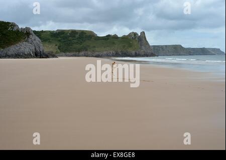 Labradoodle puppy sauter de balle sur grande plage de sable Banque D'Images