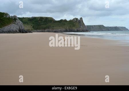 Labradoodle puppy sauter de balle sur grande plage de sable Banque D'Images