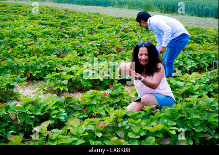 Mère et fils domaine de la cueillette des fraises, Allemagne Banque D'Images