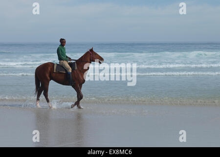 L'exercice d'un cheval à Noordhoek Beach Cape Town Afrique du Sud Banque D'Images