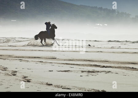 L'exercice d'un cheval à Noordhoek Beach Cape Town Afrique du Sud Banque D'Images