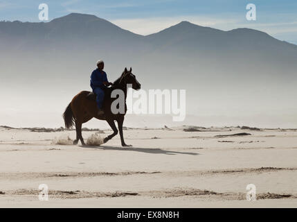 L'exercice d'un cheval à Noordhoek Beach Cape Town Afrique du Sud Banque D'Images