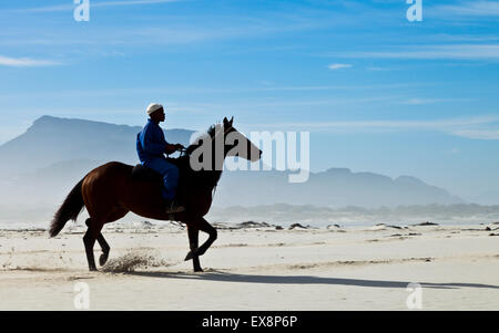 L'exercice d'un cheval à Noordhoek Beach Cape Town Afrique du Sud Banque D'Images