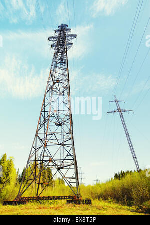 Tours à haute tension en forêt, fond de ciel bleu Banque D'Images