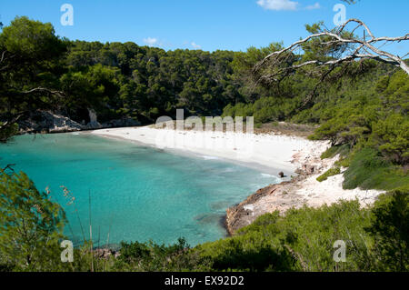 Les baigneurs et les nageurs sur le beau sable blanc et eau claire azure de Trebaluger Beach sur l'île de Minorque espagne Banque D'Images