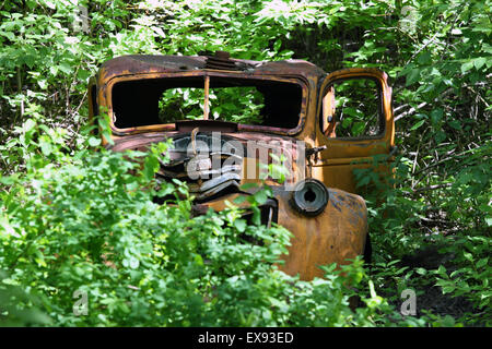 1940 Chevrolet de rouille dans les buissons d'éclairage Banque D'Images