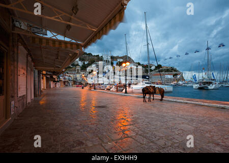 Les mules sur le quai dans le port d'Hydra Banque D'Images