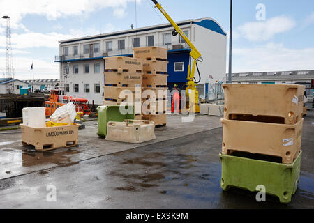 Le déchargement des bateaux de pêche du poisson dans les zones de port de Reykjavik en Islande Banque D'Images