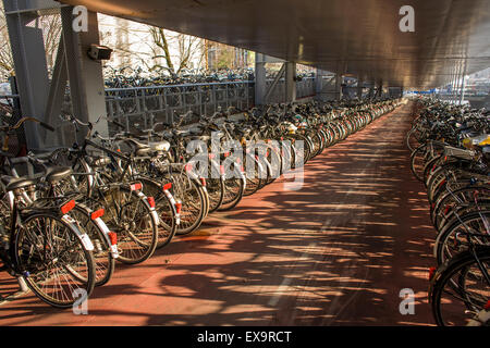 Les vélos garés dans un garage à étages près de la gare ferroviaire Centrale d'Amsterdam, Pays-Bas Banque D'Images