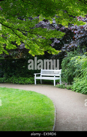 Un banc de parc en blanc entre les arbres et arbustes colorés dans les jardins botaniques, Gutersloh, Allemagne Banque D'Images