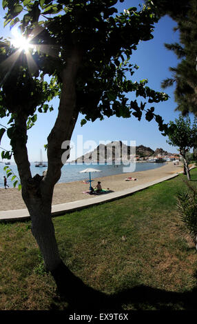 Rayons de Soleil passant à travers les feuilles de sycomore dans Tourkikos beach. Myrina Lemnos, l'île de Limnos, Grèce / Banque D'Images