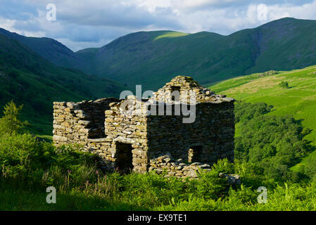 Grange en ruine ou cabane de berger, sur la puce, Parc National de Lake District, Cumbria, Angleterre, Royaume-Uni Banque D'Images