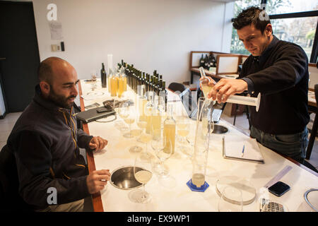 Mendoza. 23 Juin, 2015. Image prise le 23 juin 2015 montre les vignerons français Di Cesare (L) et Maximiliano Ortiz travaillant sur la composition des vins de Chardonnay 2015 dans la chambre de vignerons la Cave Trivento, dans la région de Maipu city, province de Mendoza, en Argentine. La province de Mendoza, dans le centre-ouest de l'Argentine, connu pour son climat ensoleillé et les montagnes des Andes, est l'un des meilleurs quartiers de vin d'Amérique latine. © Martin Zabala/Xinhua/Alamy Live News Banque D'Images